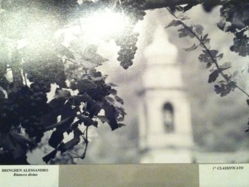 L'opera di A. Bringhen in bianco e nero