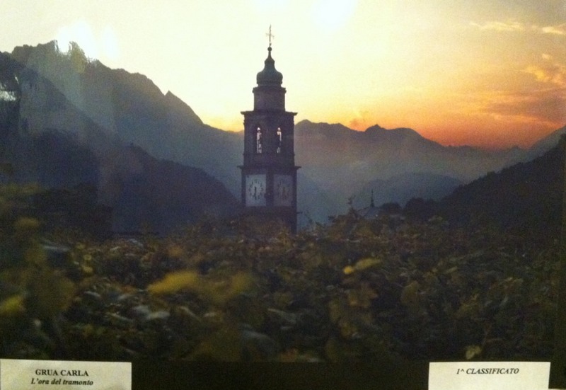 L'immagine vincitrice nella sezione colore