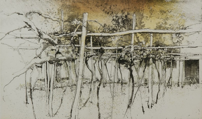 Le vigne notturne di Sergio Saroni (1985), GAM Torino