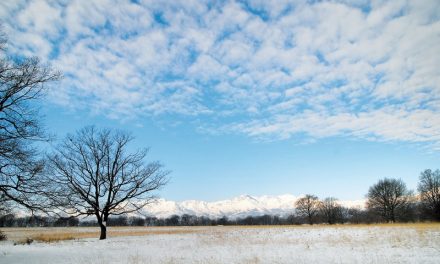 BARAGGIA, BESSA E BURCINA IN UNA MOSTRA FOTOGRAFICA – OLDANO Gabriella