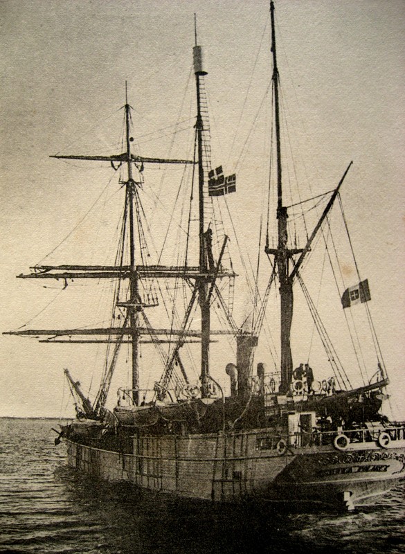 Stella polare, Museo delle Scienze naturali di Torino