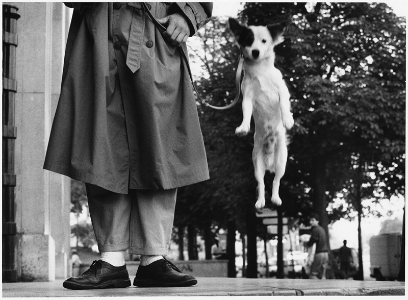 Paris 1989 di E. Erwitt, mostra ad Aosta