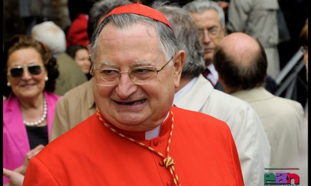 IL CARISMA AVVINCENTE DEL CARDINALE GIUSEPPE BERTELLO-CASTELLINA Elisa-FERRARO Gianni