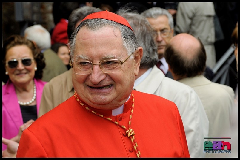 IL CARISMA AVVINCENTE DEL CARDINALE GIUSEPPE BERTELLO-CASTELLINA Elisa-FERRARO Gianni