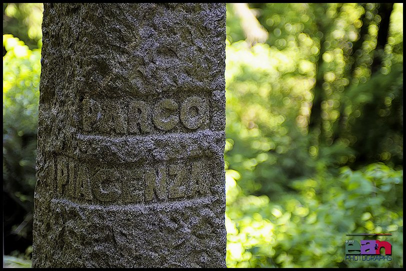 “LA BURCINA”, LA MAGIA DELLA NATURA