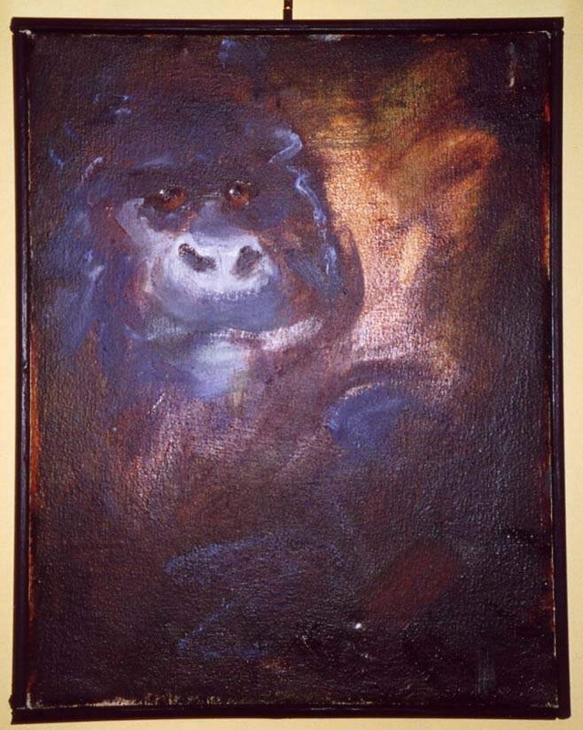 Gorilla di Alison Jane Frank Museo scienze naturali Torino