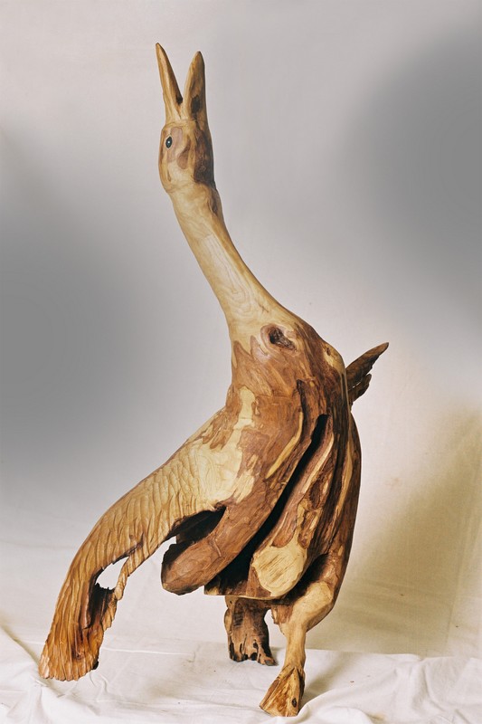 Risveglio di Luca Germena MRSN di Torino 