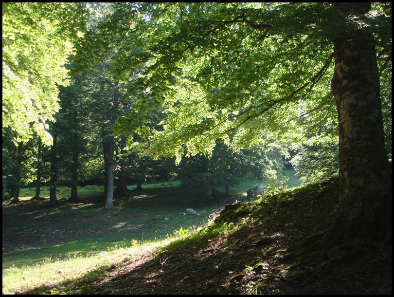 Una ulteriore immagine del parco