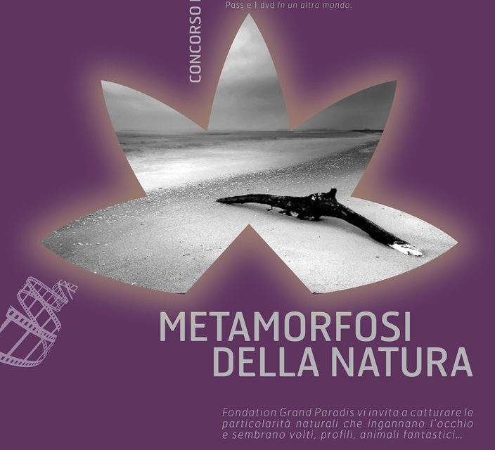 FONDATION GRAND PARADIS PRESENTA “ METAMORFOSI DELLA NATURA”-SBURLATI Ilaria