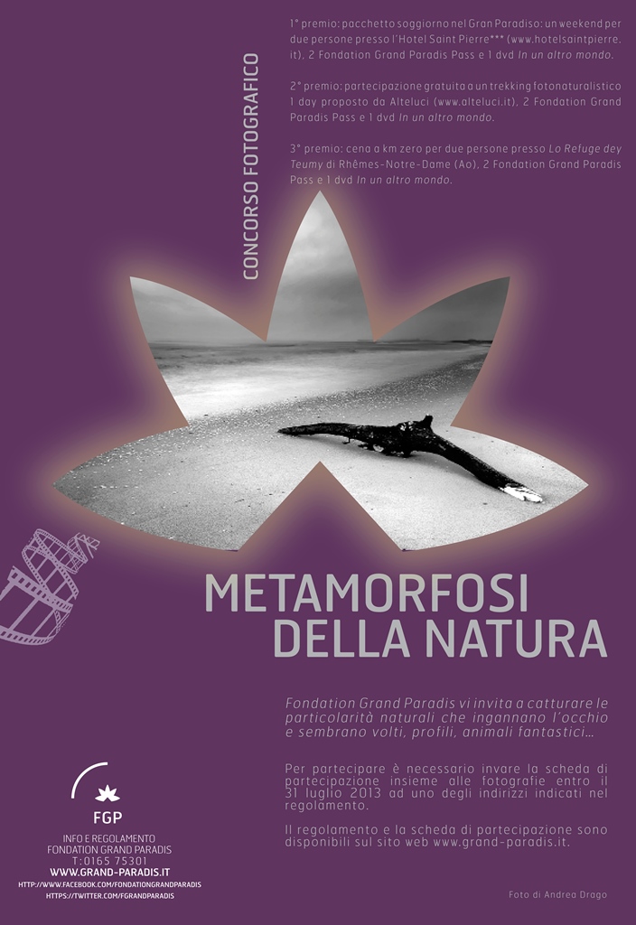 La locandina del concorso