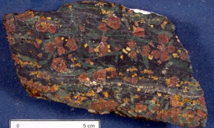 MINISTRO DELRIO PRESIDENTE CHIAMPARINO – Antonino CALANDRA