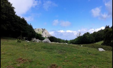 PARCO NAZIONALE DEL POLLINO-CASTELLANO Giovanni