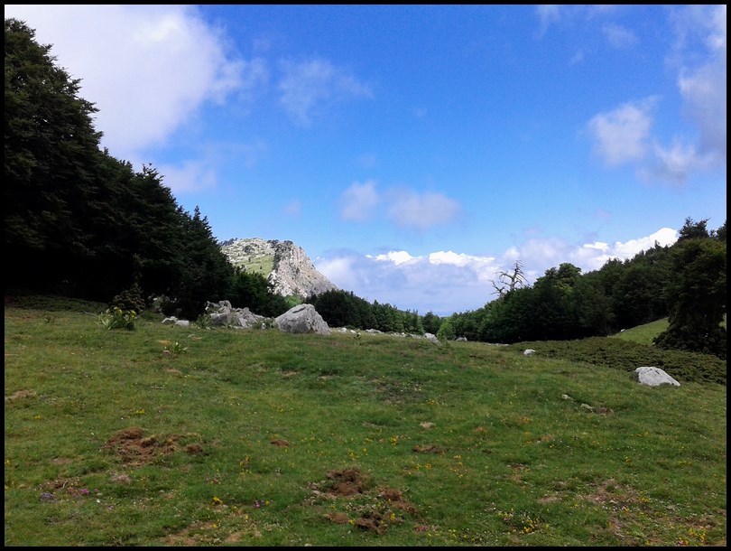 PARCO NAZIONALE DEL POLLINO-CASTELLANO Giovanni