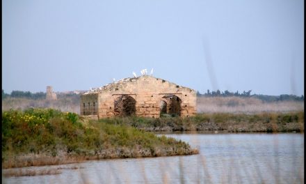 RISERVA NATURALE ORIENTATA DI VENDICARI-TERRANOVA Fabio