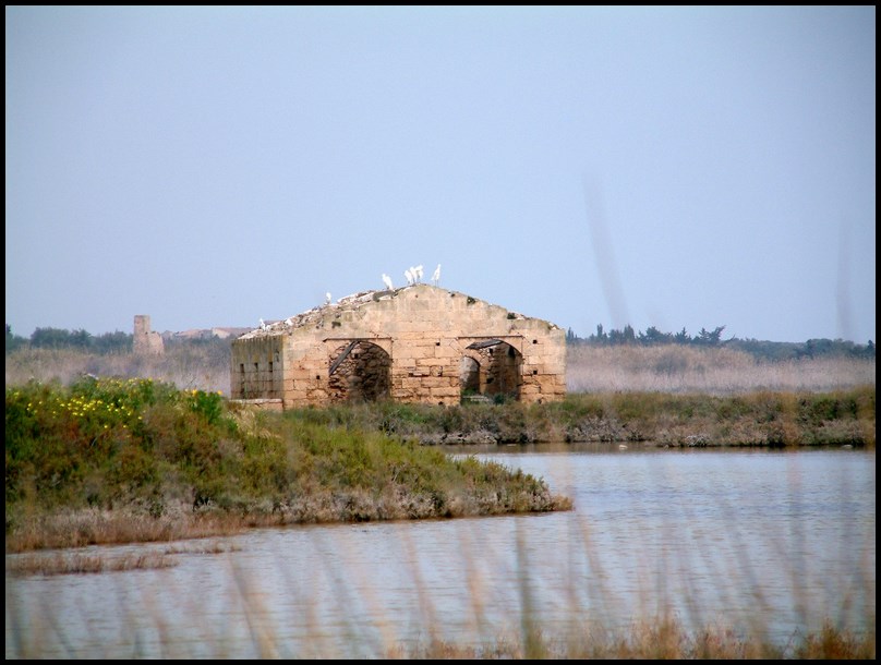 RISERVA NATURALE ORIENTATA DI VENDICARI-TERRANOVA Fabio