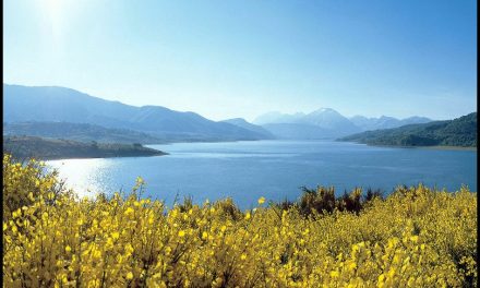 PARCO NAZIONALE DEL GRAN SASSO E MONTI DELLA LAGA-Grazia FELLI