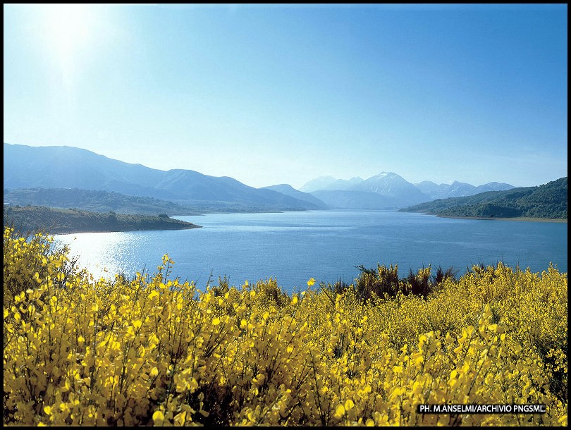 PARCO NAZIONALE DEL GRAN SASSO E MONTI DELLA LAGA-Grazia FELLI