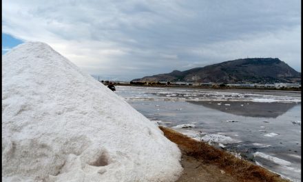 RISERVA NATURALE ORIENTATA SALINE DI TRAPANI E PACECO-Chiara TOBIA