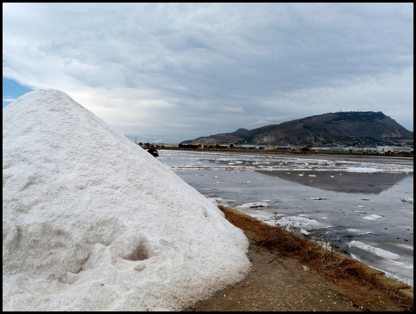 RISERVA NATURALE ORIENTATA SALINE DI TRAPANI E PACECO-Chiara TOBIA