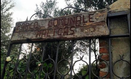 BELLEZZE E SORPRESE DEL PARCO MALICAS – Valeria PINNA