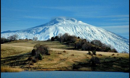 “PONTE VERDE PER LA NATURA” TRA ITALIA E CINA – Franco TASSI