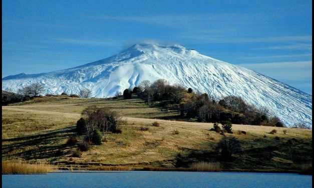 “PONTE VERDE PER LA NATURA” TRA ITALIA E CINA – Franco TASSI