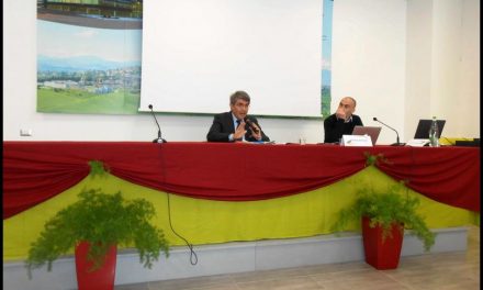 “TIPICITÀ”: L’INFORMAZIONE CHE RACCONTA LE DIFFERENZE – Benedetta GRENDENE