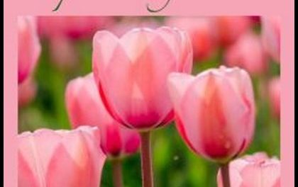 MESSER TULIPANO STA TORNANDO! – Emanuela TERRACINA