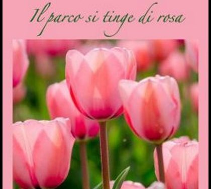 MESSER TULIPANO STA TORNANDO! – Emanuela TERRACINA