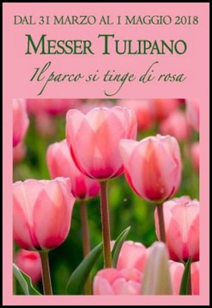 MESSER TULIPANO STA TORNANDO! – Emanuela TERRACINA
